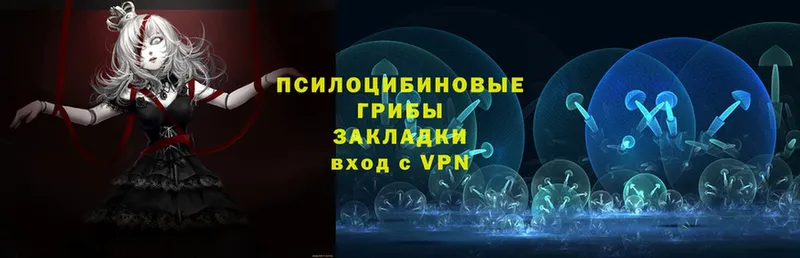 hydra маркетплейс  Алзамай  маркетплейс состав  Галлюциногенные грибы мицелий 